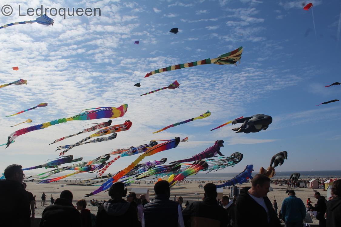 Photo des RICV de Berck sur mer 2026